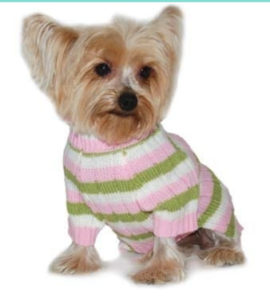 Puppy Pawer by DOGO pink and green striped sweater